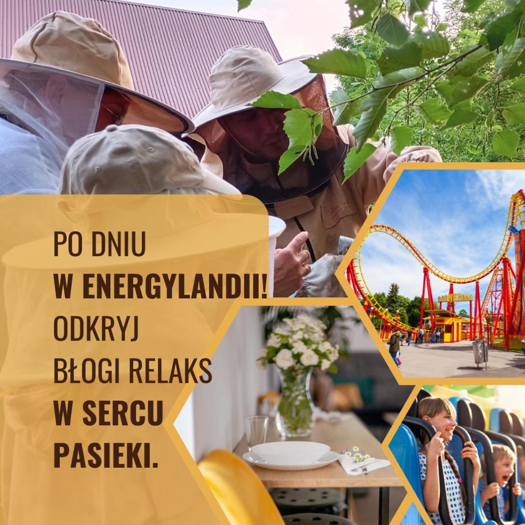 Miodowa Zagroda - Nocleg Zator Energylandia Miejsce Exterior foto